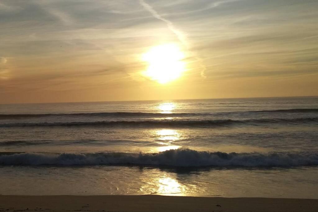 Azurara Beach Large And Sunny Apartment Árvore المظهر الخارجي الصورة